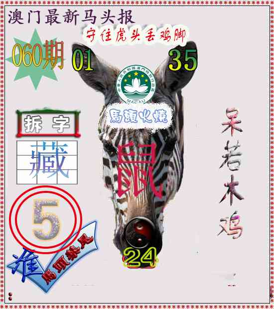 060期马头报[图]