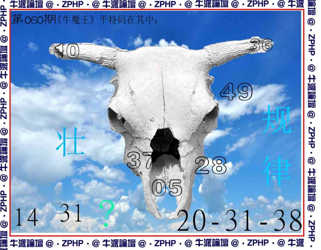 060期牛派系列8[图]