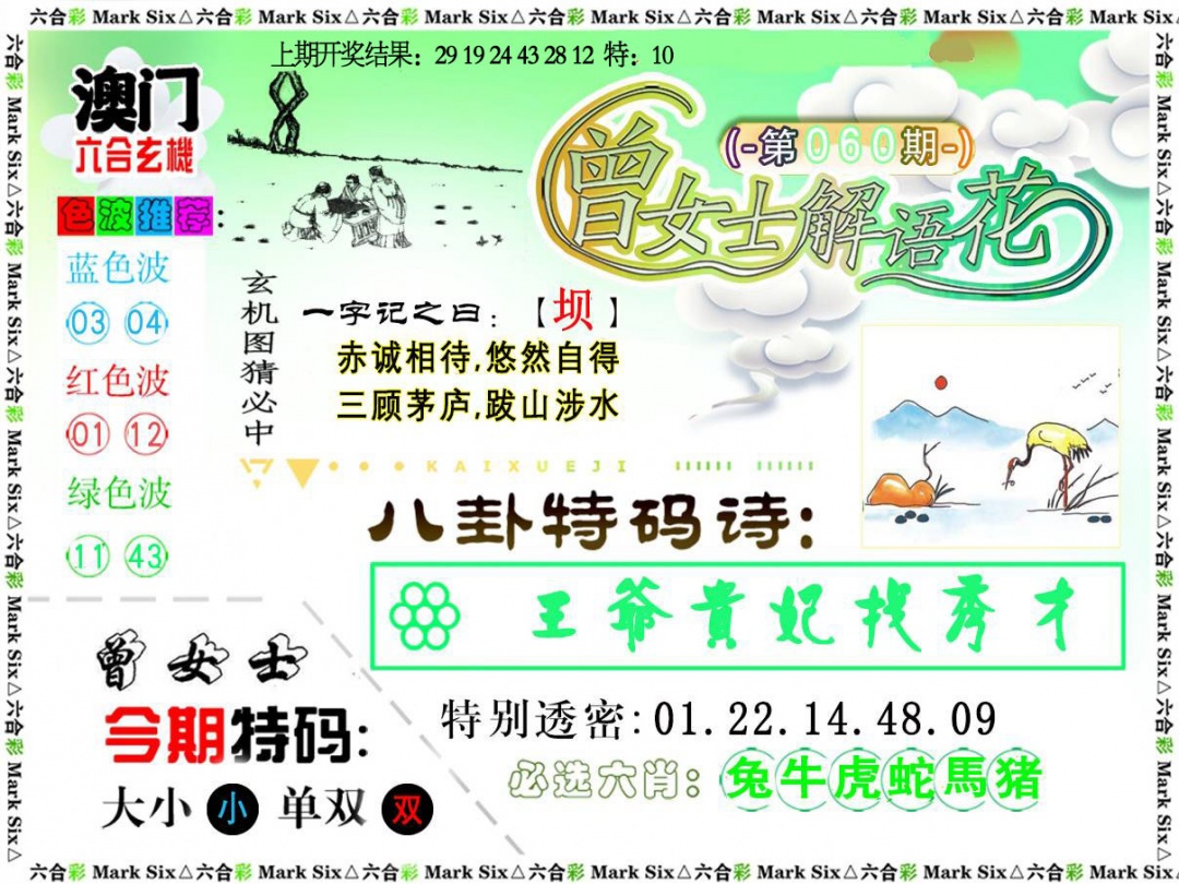 060期曾女士解语花[图]