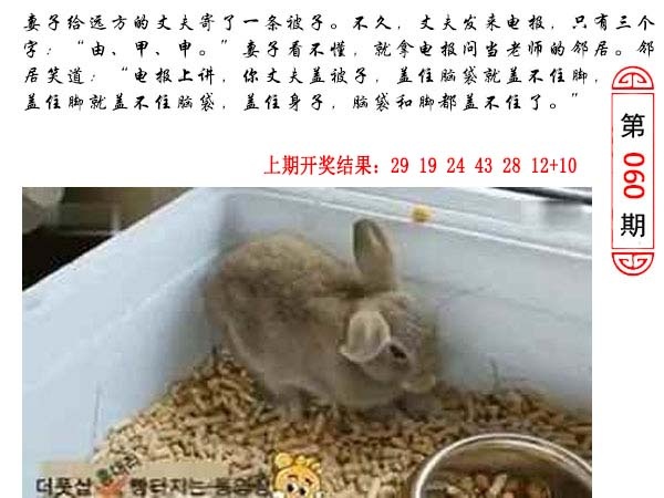 060期澳门生活幽默[图]