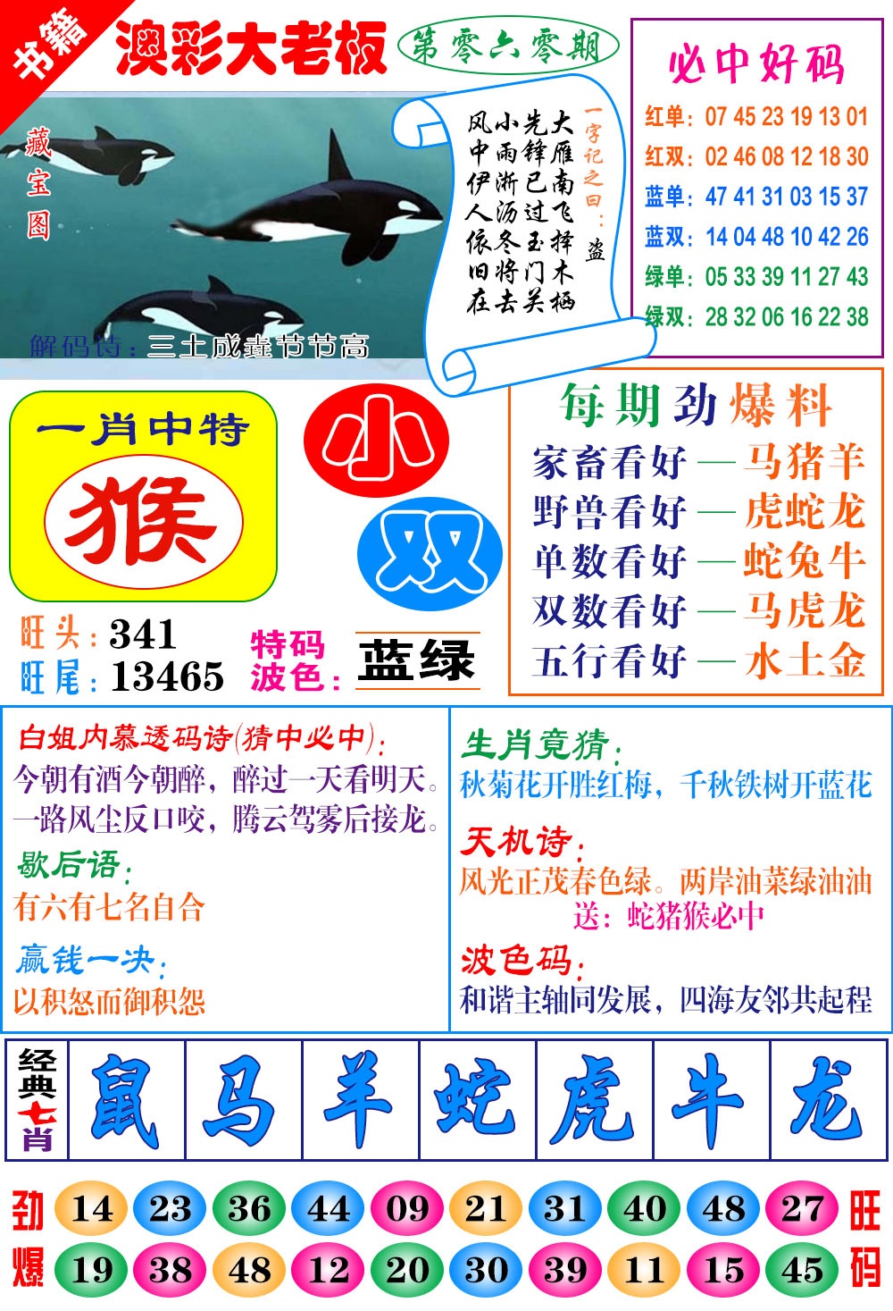 060期澳门大老板[图]