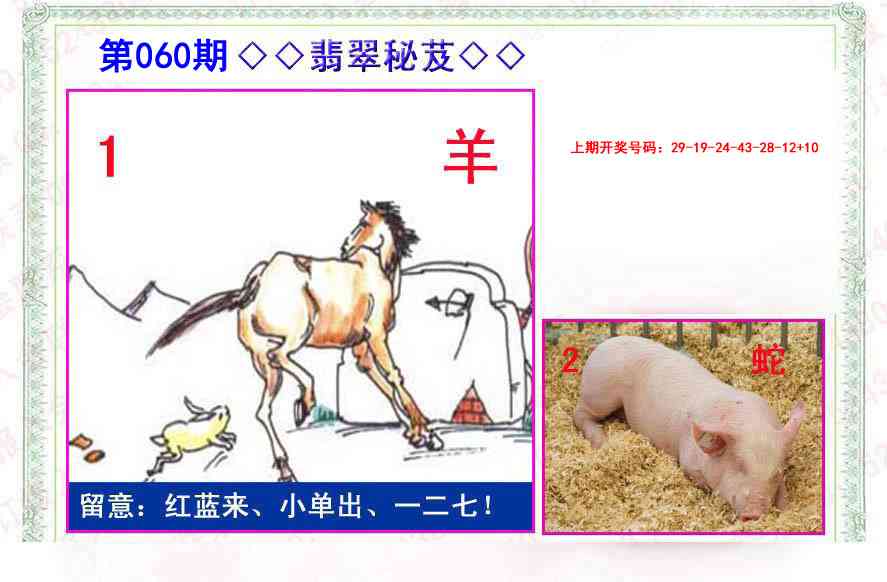 060期翡翠报[图]