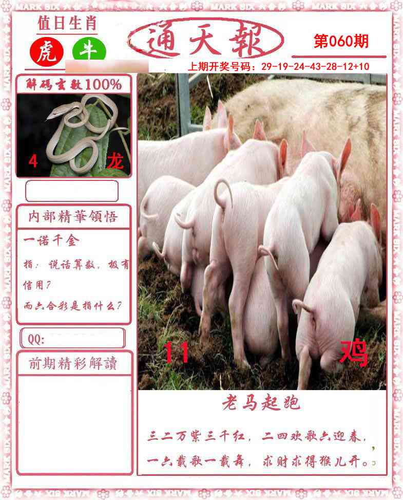 060期正版通天报[图]