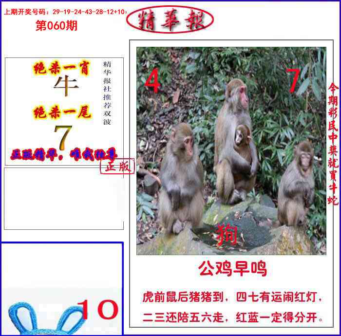 060期新精华报报[图]