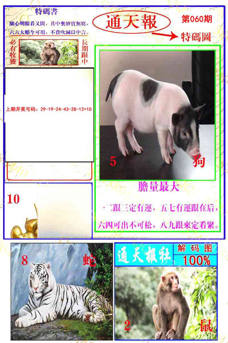 060期通天特解图[图]