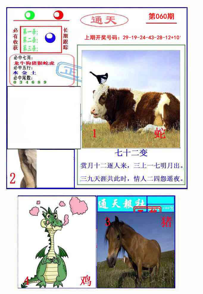 060期通天杀波图2[图]