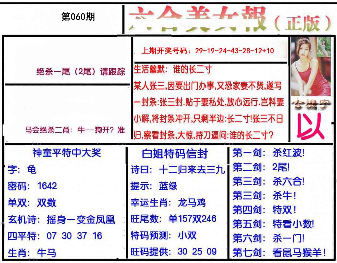 060期美女报[图]