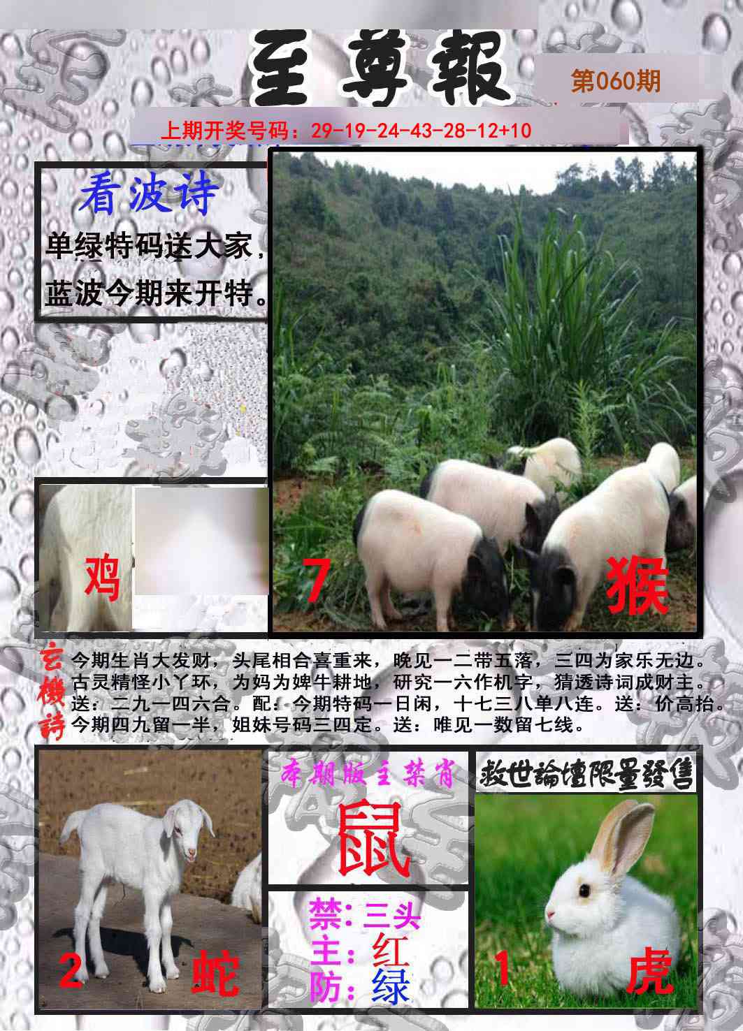 060期至尊报[图]