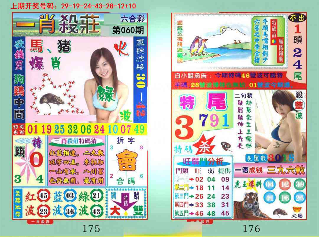060期一夜富[图]