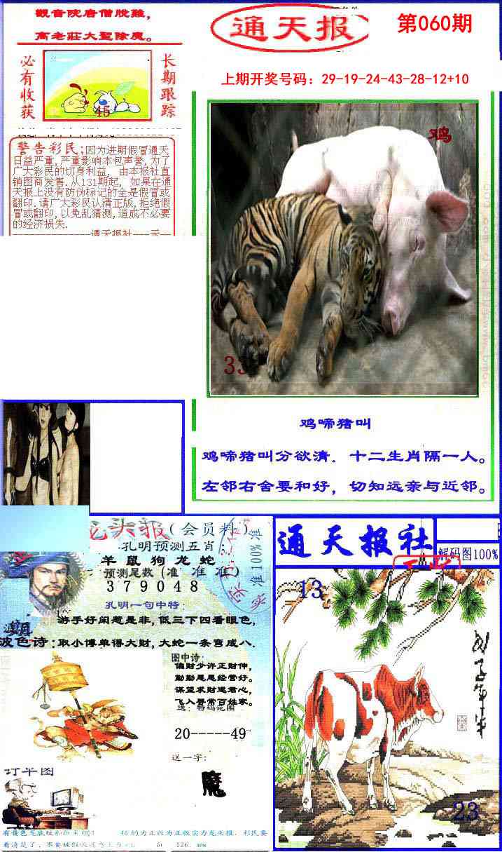 060期实力通天报[图]