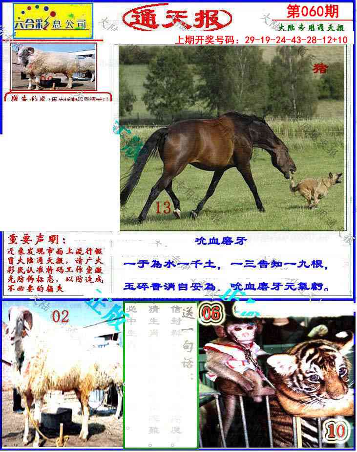 060期大陆通天报[图]