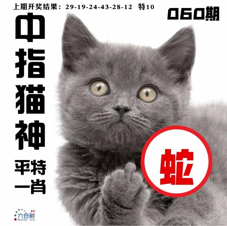 060期中指猫神[图]
