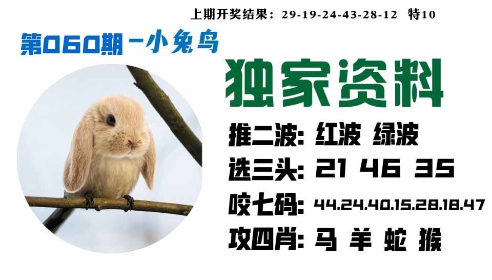 060期小兔鸟[图]